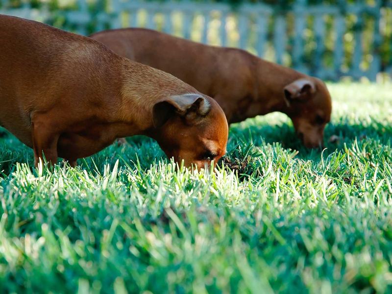 contact screenshot 1